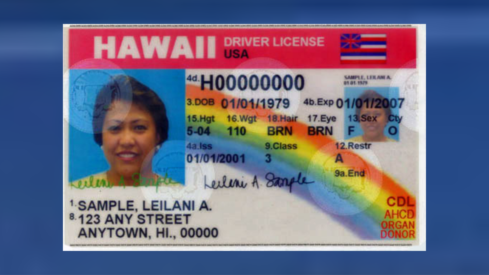 Drivers License Renewal in Hawaii