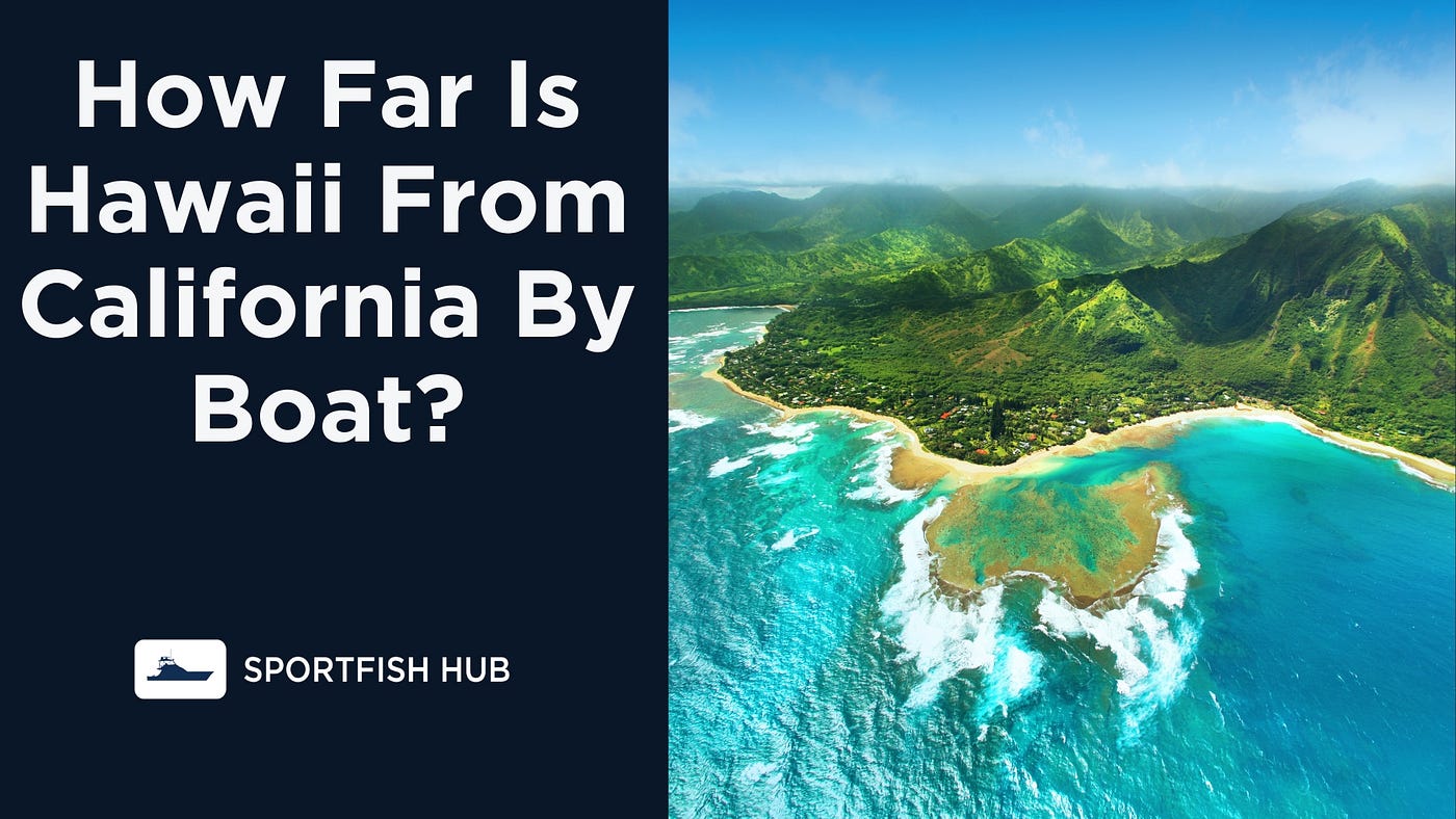 Beautiful Hawaiian beach with ocean view and palm trees, representing the distance from California.