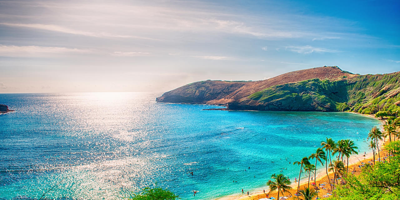 Beautiful sunset over Hawaiian beach with palm trees