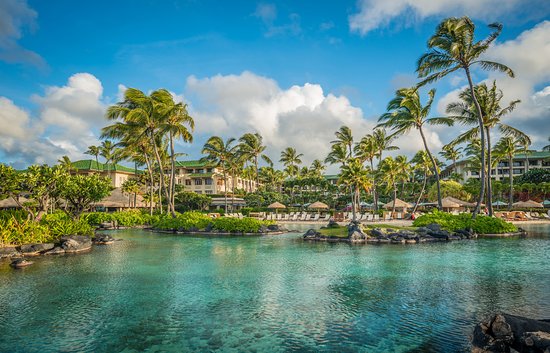 Family enjoying beach activities at a resort in Hawaii