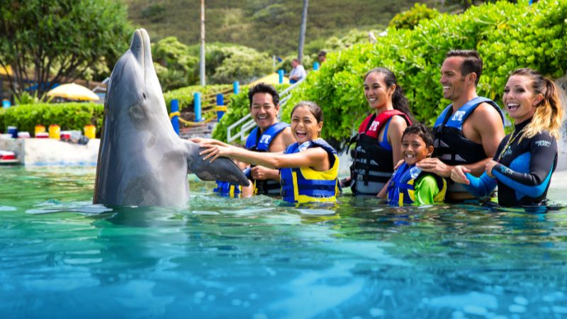 Discovering the Wonders of Sea Life Park Hawaii